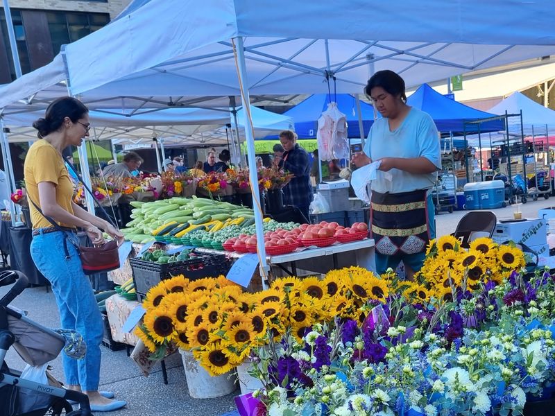 More Than 100 Vendors Under One Roof and Sky