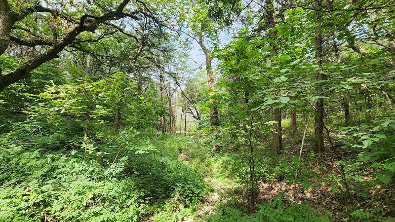 More Than 12 Miles of Trails Covering Every Skill Level More Than 12 Miles of Trails Covering Every Skill Level