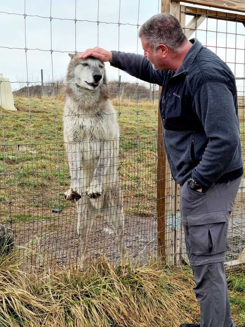 More Than 200 Animals Waiting to Say Hello