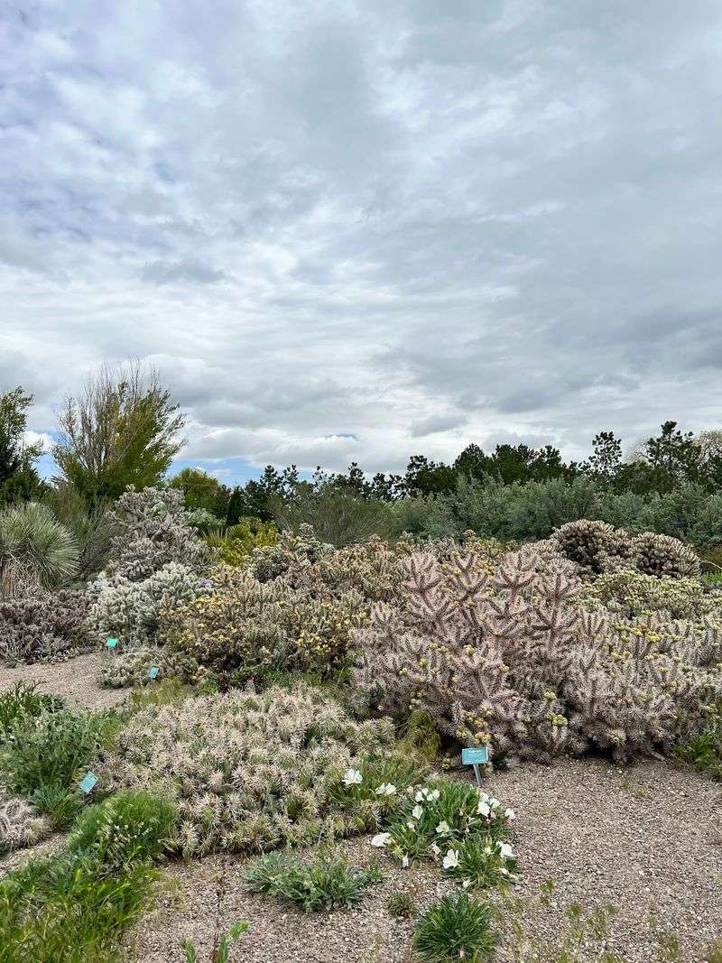More Than 400 Plant Varieties Waiting to Surprise You