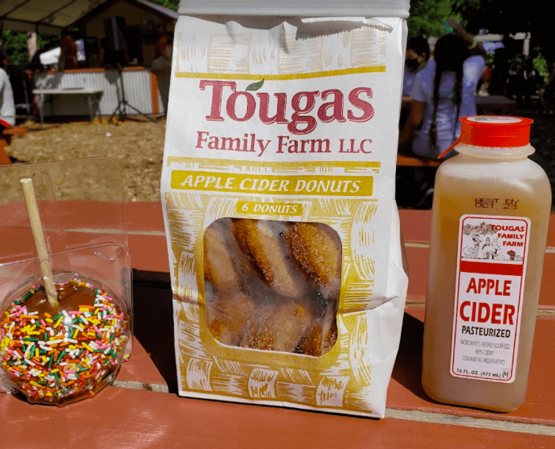 More Than Apples All Season More Than Apples All Season