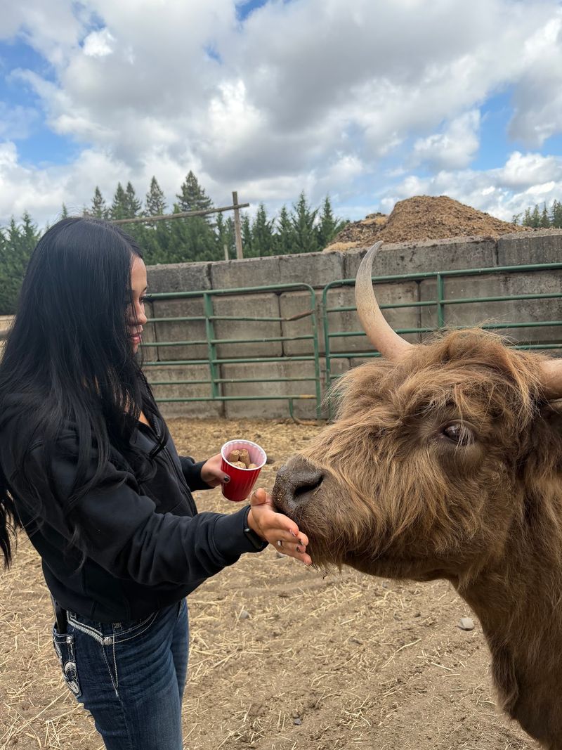 More Than Just Cows More Than Just Cows
