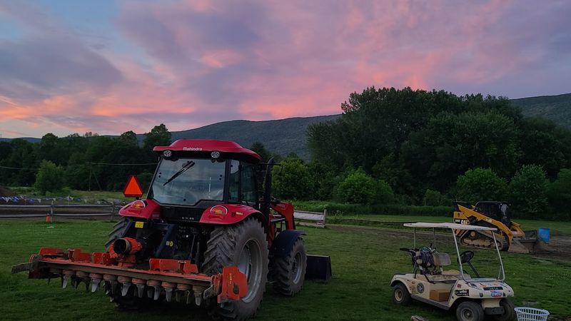 Morning Grooming and Careful Prep