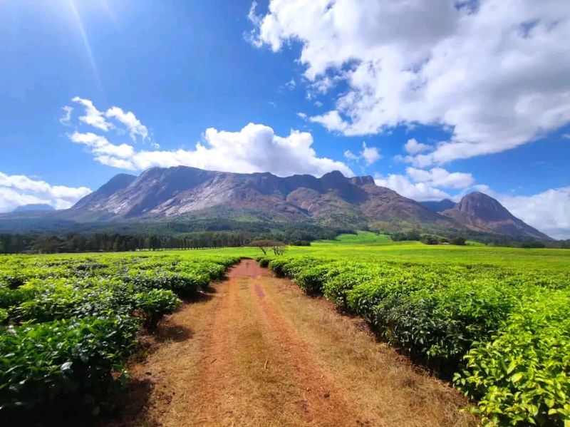 Mount Mulanje, Malawi