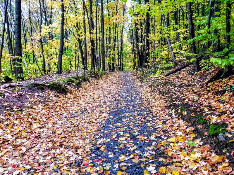Mount Sugarloaf State Reservation, South Deerfield, MA