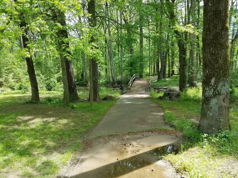 Mountain Biking Thrills: Over Three Miles of Purpose-Built Riding Mountain Biking Thrills: Over Three Miles of Purpose-Built Riding