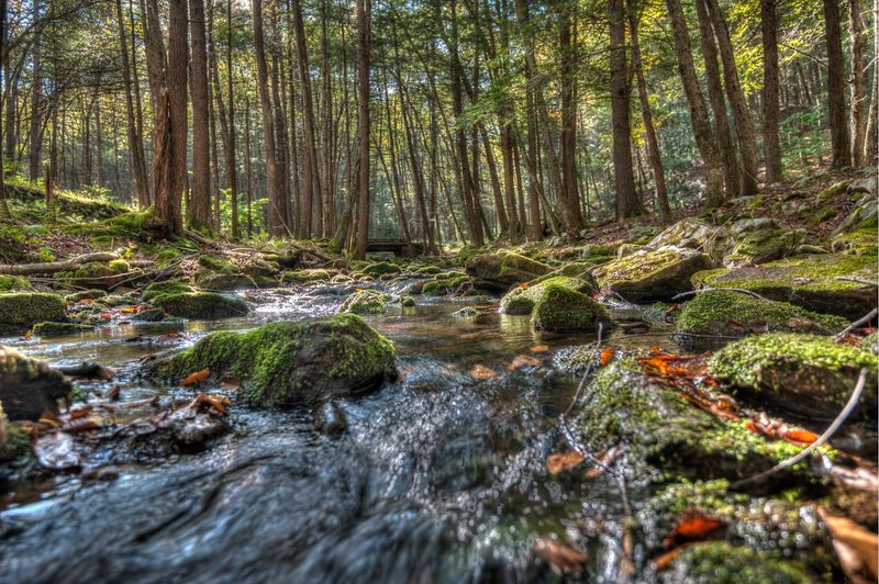 Mountain Streams and Fishing Holes Worth Waking Up Early For