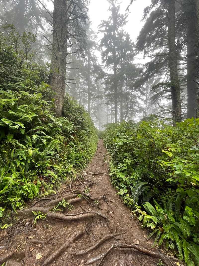 Mud, Roots, and the Right Boots Mud, Roots, and the Right Boots