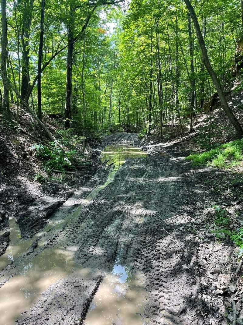 Muddy Pits And Creek Crossings