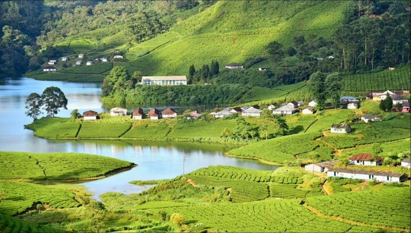 Munnar, Kerala, India Munnar, Kerala, India