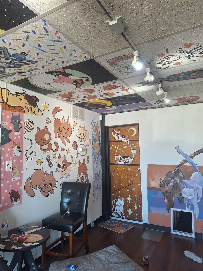 Murals And Cat Art With Local Personality Murals And Cat Art With Local Personality