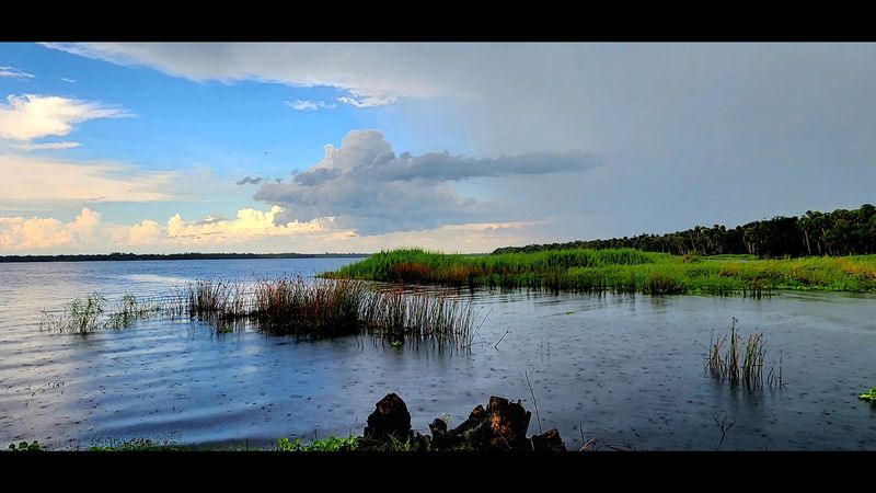 Myakka River State Park Big Flats Campground, Sarasota, FL Myakka River State Park Big Flats Campground, Sarasota, FL