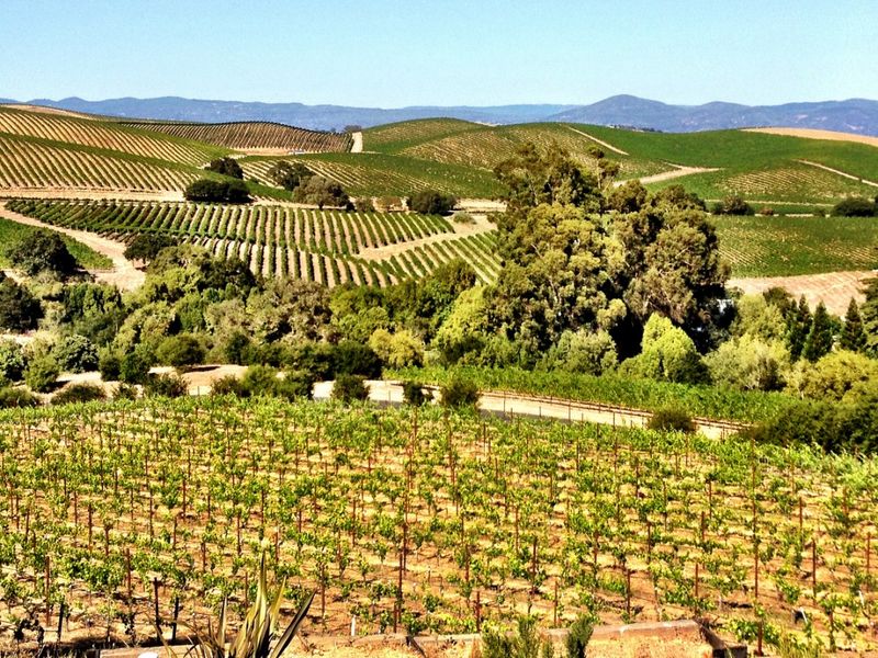 Napa Valley, California Napa Valley, California