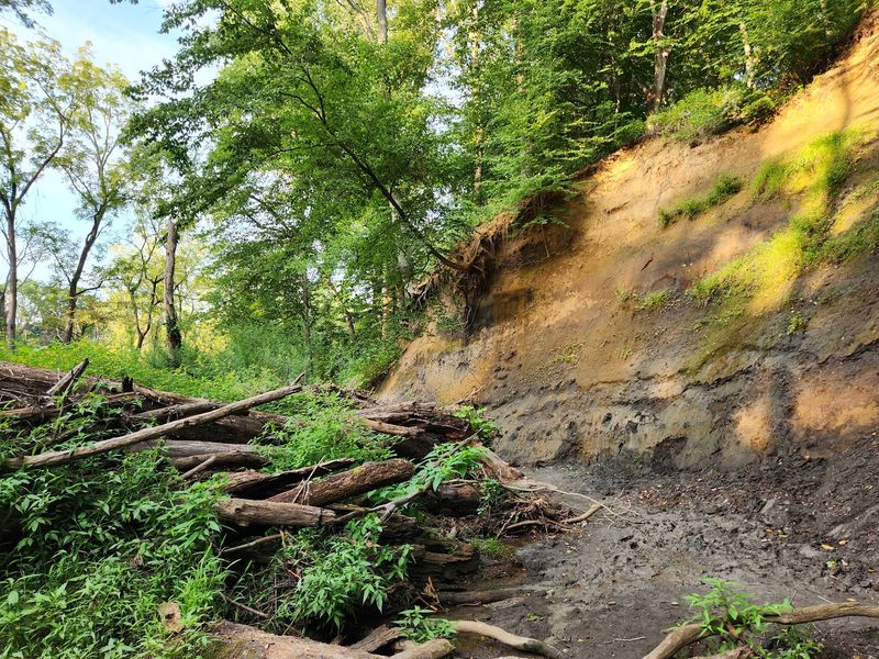 Narrow Trails, Muddy Turns, and Brook Access Narrow Trails, Muddy Turns, and Brook Access