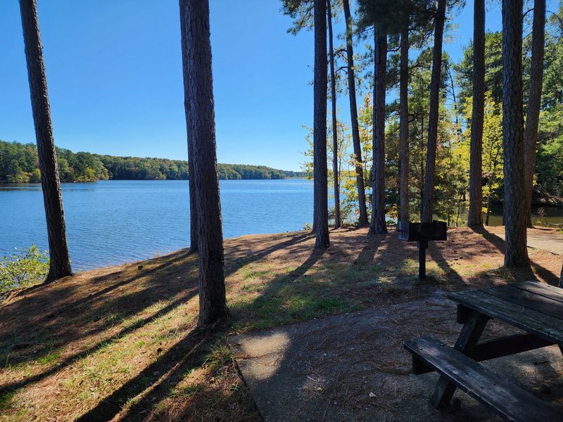 Natchez trace state park campground, Wildersville, TN Natchez trace state park campground, Wildersville, TN