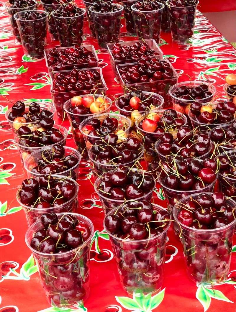 National Cherry Festival - Traverse City, Michigan National Cherry Festival - Traverse City, Michigan
