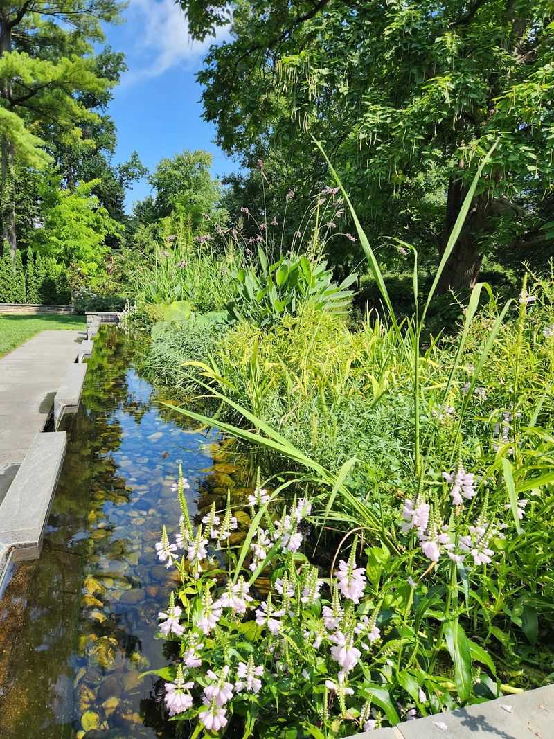 Native Plants Are Changing the Landscape Native Plants Are Changing the Landscape