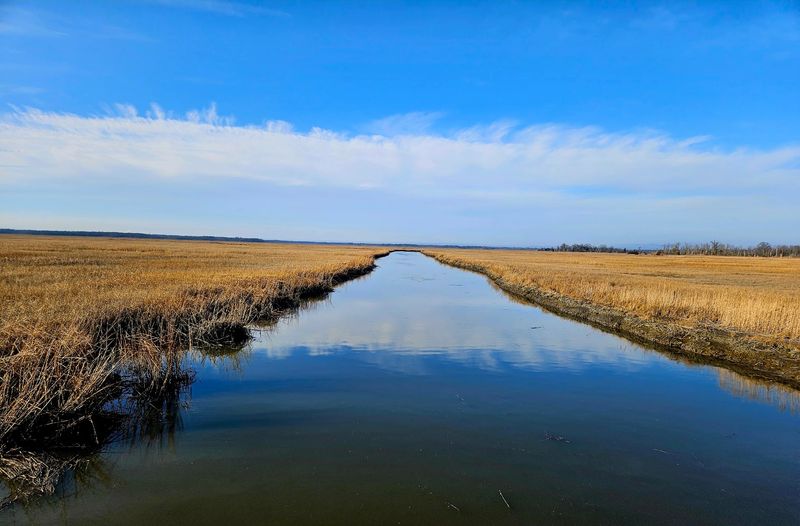Natural Lands' Glades Wildlife Refuge, Newport, NJ Natural Lands' Glades Wildlife Refuge, Newport, NJ
