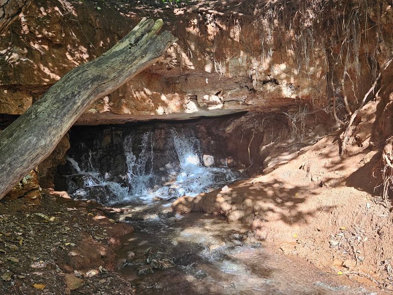 Natural Springs That Feed the Place