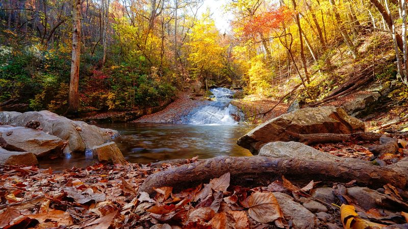 Natural Swimming Holes Worth Knowing About Natural Swimming Holes Worth Knowing About