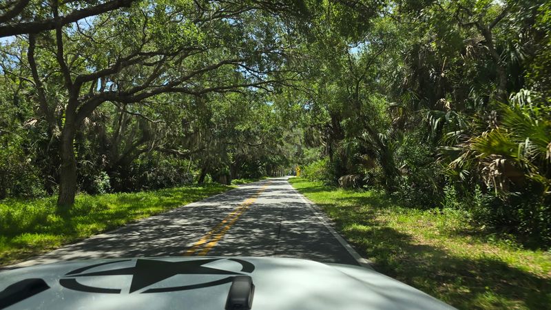 Nature Exposure May Explain the Route's Calmer Feeling