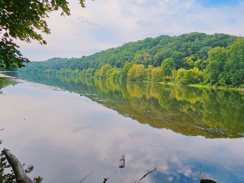 Nature Trails and Quiet Corners: The Park's Gentler Side Nature Trails and Quiet Corners: The Park's Gentler Side