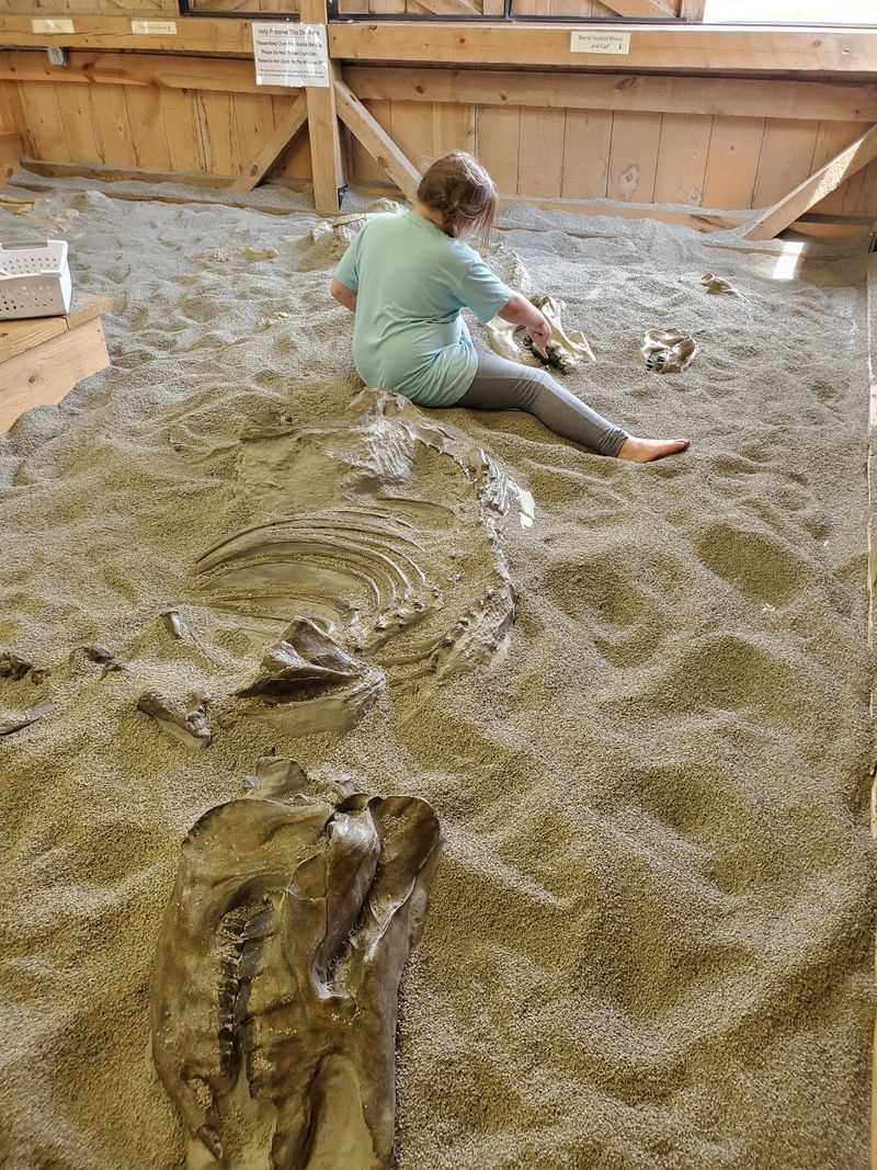 Navigating the Ancient Past: Essential Visitor Insights