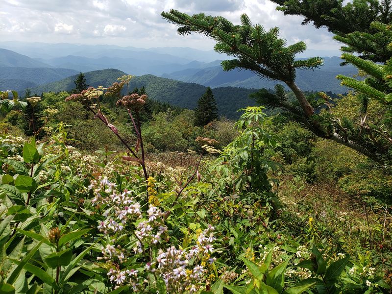 Neighboring Overlooks Worth a Detour Neighboring Overlooks Worth a Detour