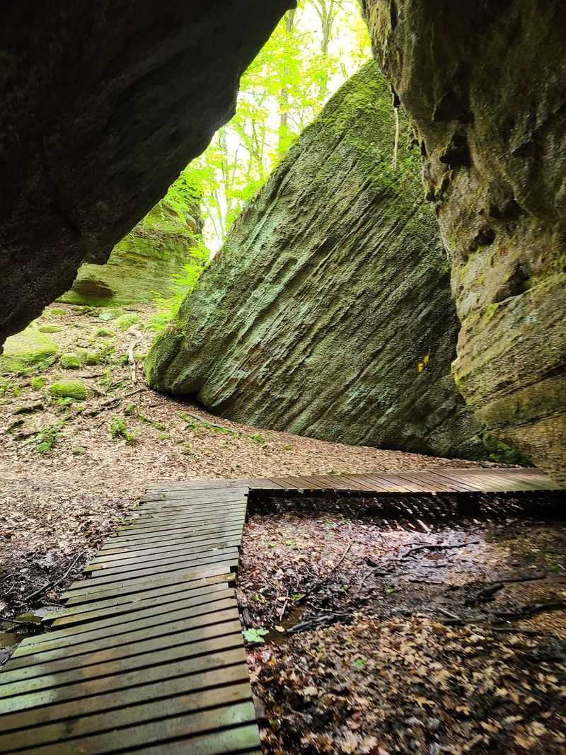 Nelson-Kennedy Ledges State Park, Garrettsville, OH
