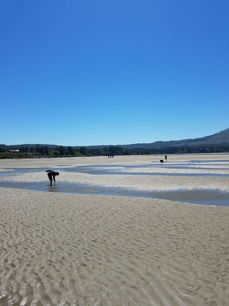 Netarts Bay's Reputation as a Shellfish Mecca