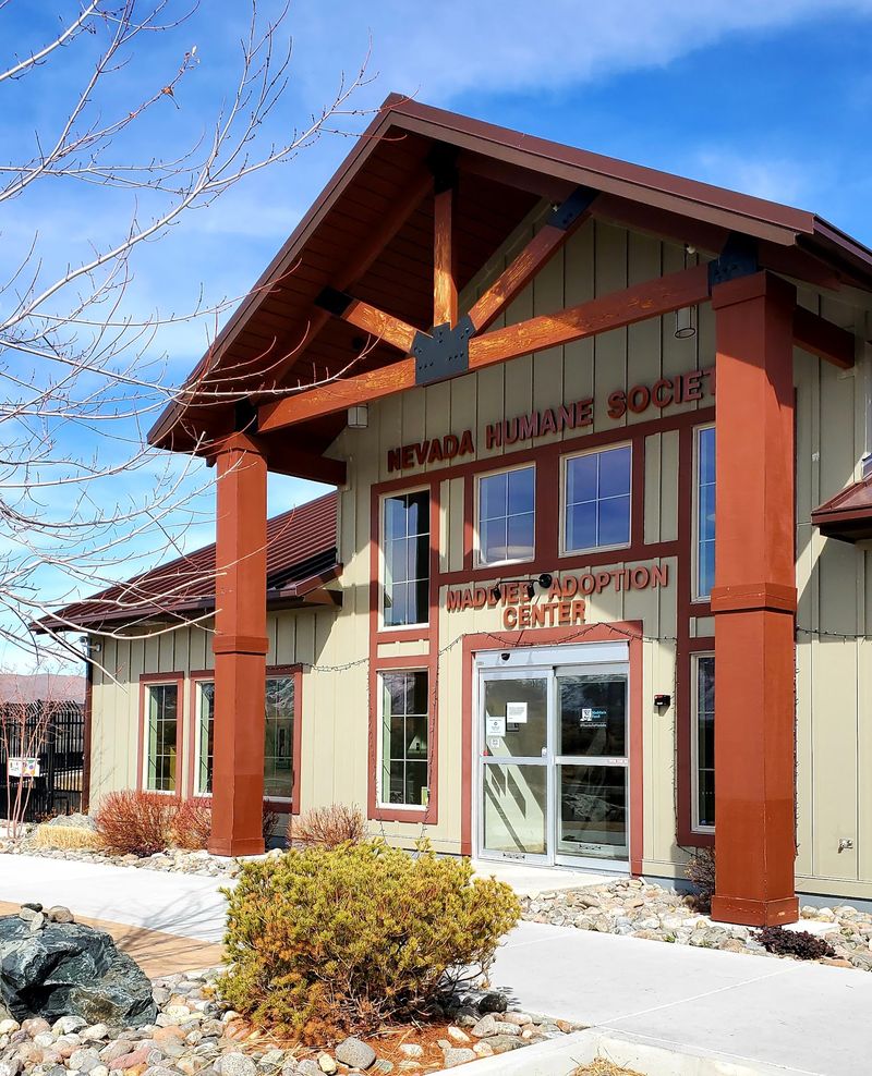 Nevada Humane Society - Reno / Carson City Nevada Humane Society - Reno / Carson City