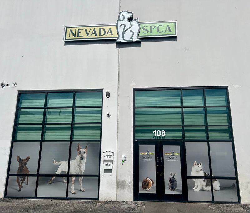 Nevada SPCA - Las Vegas Nevada SPCA - Las Vegas