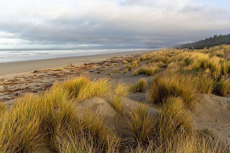 New Zealand New Zealand