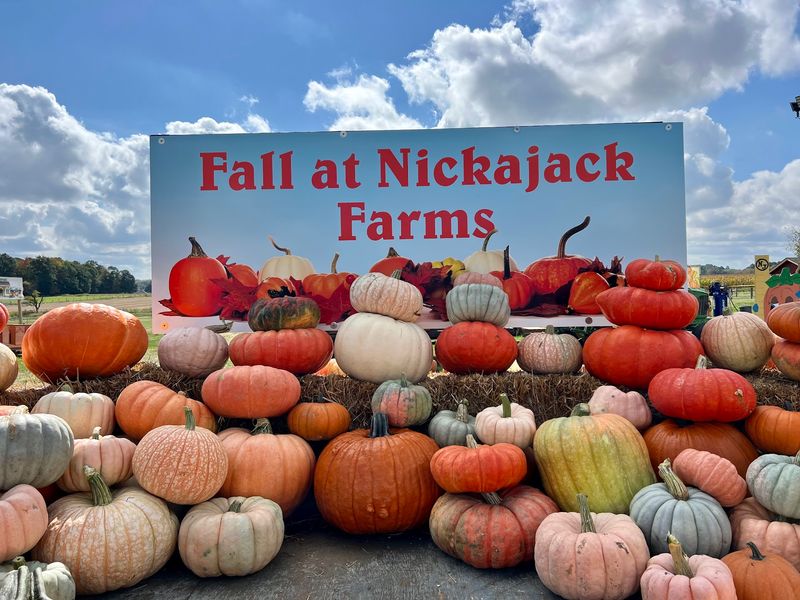 Nickajack Farms, Ohio, North Lawrence