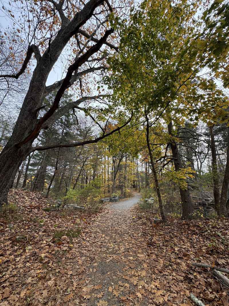 Nine Miles Of Trails Through Changing Terrain Nine Miles Of Trails Through Changing Terrain