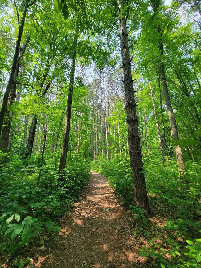 Nine Trails Winding Through Every Landscape Nine Trails Winding Through Every Landscape