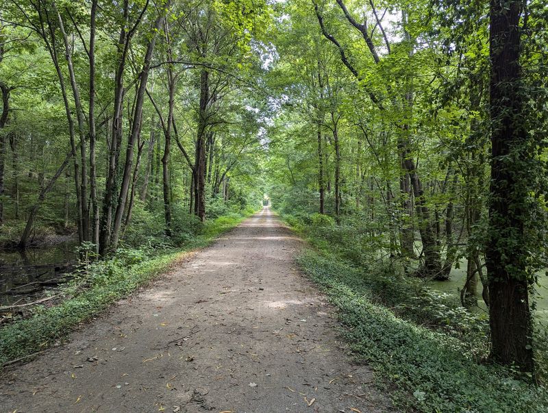 Ninety Miles of Gravel Through Changing Ecosystems Ninety Miles of Gravel Through Changing Ecosystems