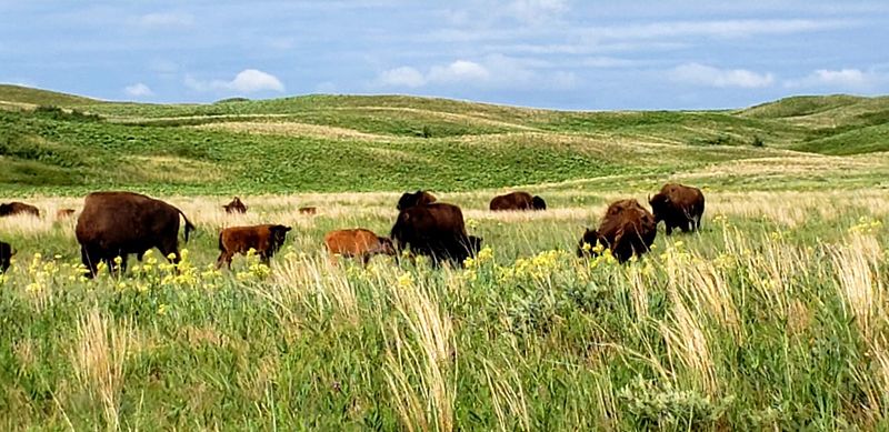 Niobrara Valley Preserve, Johnstown, Nebraska