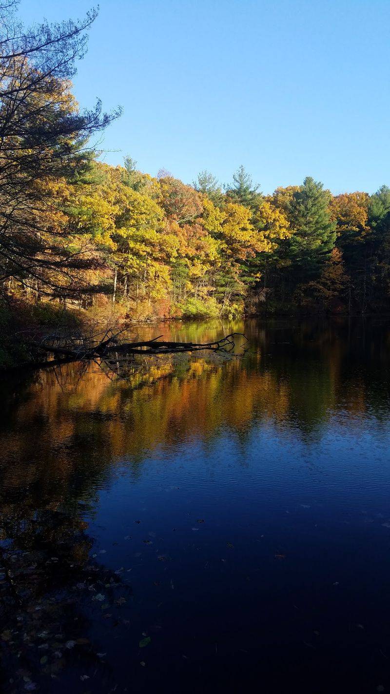 Noanet Woodlands, Dover, MA Noanet Woodlands, Dover, MA