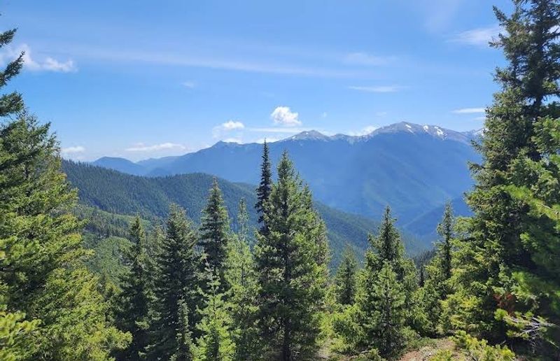 Olympic National Park, Washington