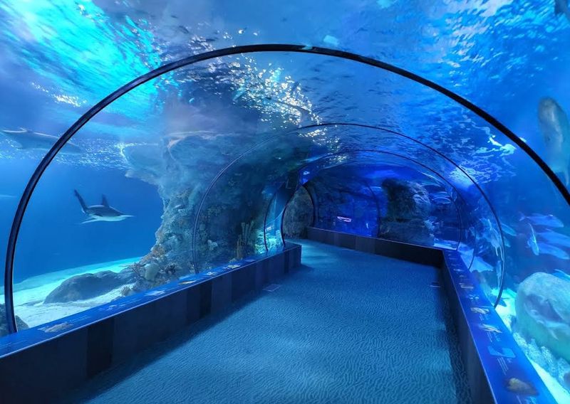 Omaha's Henry Doorly Zoo and Aquarium, Omaha, Nebraska Omaha's Henry Doorly Zoo and Aquarium, Omaha, Nebraska