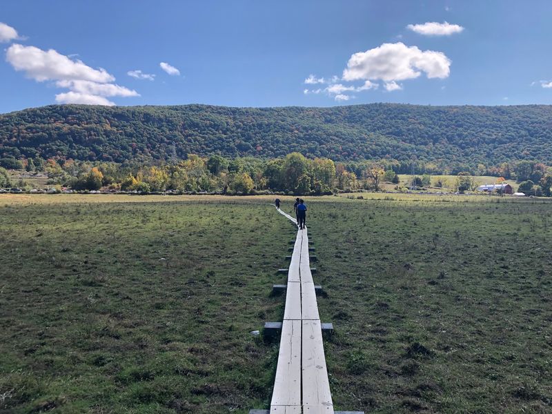 Open Fields, Woods, And Small Water Crossings Open Fields, Woods, And Small Water Crossings