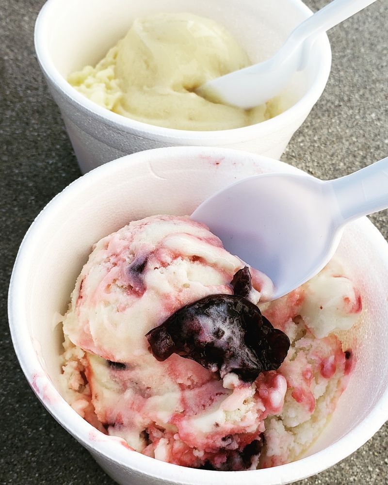 Options for Every Sweet Tooth Options for Every Sweet Tooth