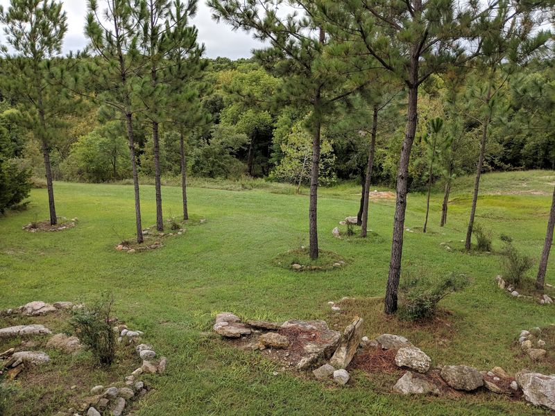 Orchards, Wildlife, and the Natural Setting Orchards, Wildlife, and the Natural Setting