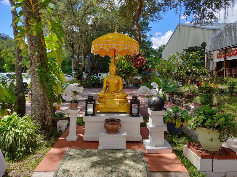Orchid-Draped Trees and Tropical Flower Gardens Orchid-Draped Trees and Tropical Flower Gardens