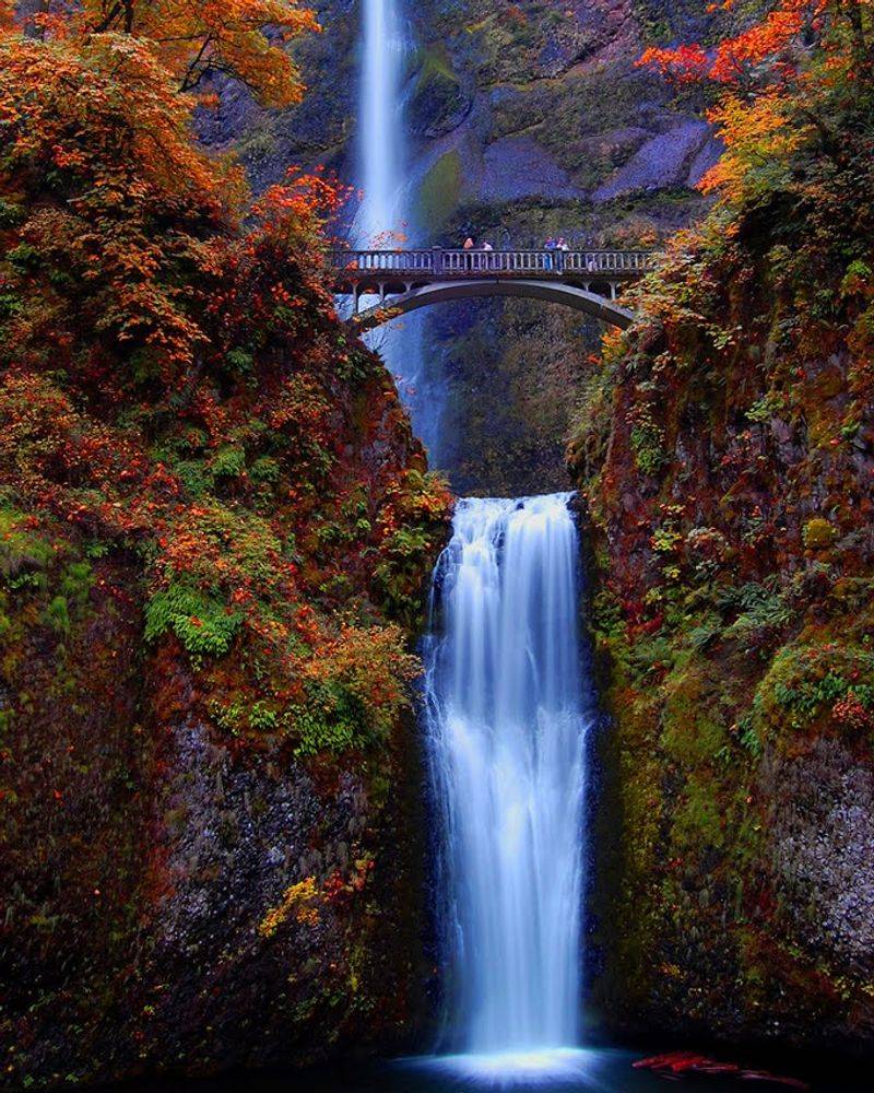 Oregon Oregon