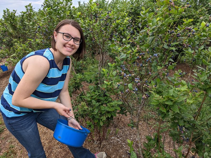Organic Growing Practices and Berries Safe to Eat Right Off the Bush Organic Growing Practices and Berries Safe to Eat Right Off the Bush