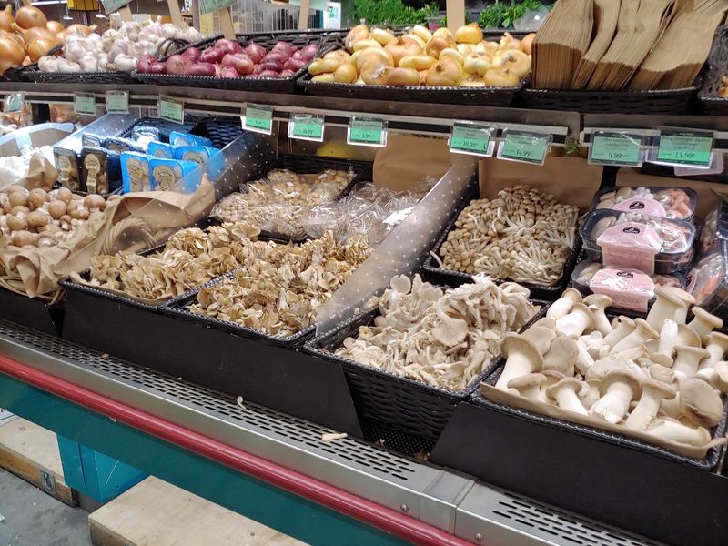 Organic Produce And Surprising Forest Finds Organic Produce And Surprising Forest Finds