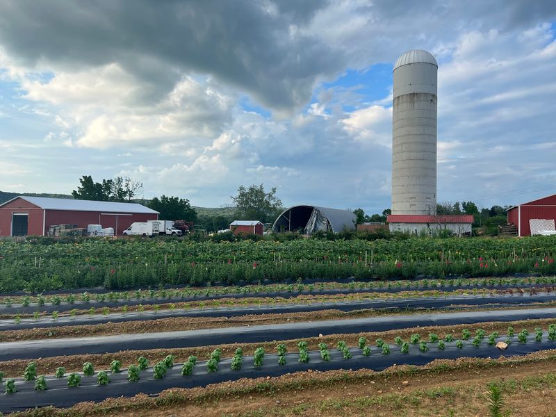 Ort Farms, Long Valley, NJ Ort Farms, Long Valley, NJ