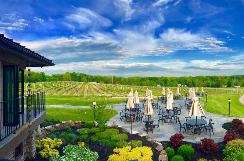 Outdoor Patio Views Over Vineyards and a Pond Outdoor Patio Views Over Vineyards and a Pond